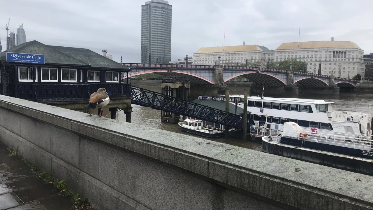 Lambeth Bridge